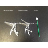 Disposable Cervical Brush