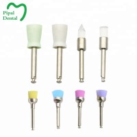 Dental disposable prophy brush polishing brushes